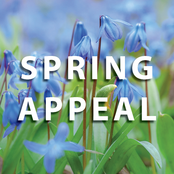 Spring Appeal 2022 thumbnail